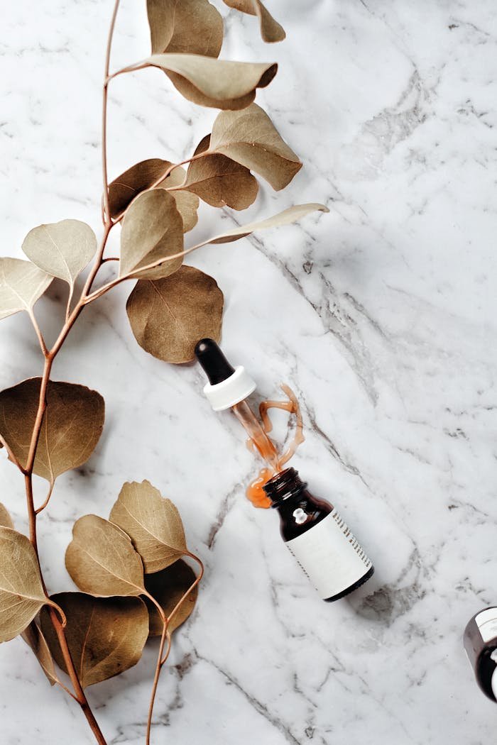 Flat lay of eucalyptus branch and serum bottle on marble surface, perfect for skincare themes.